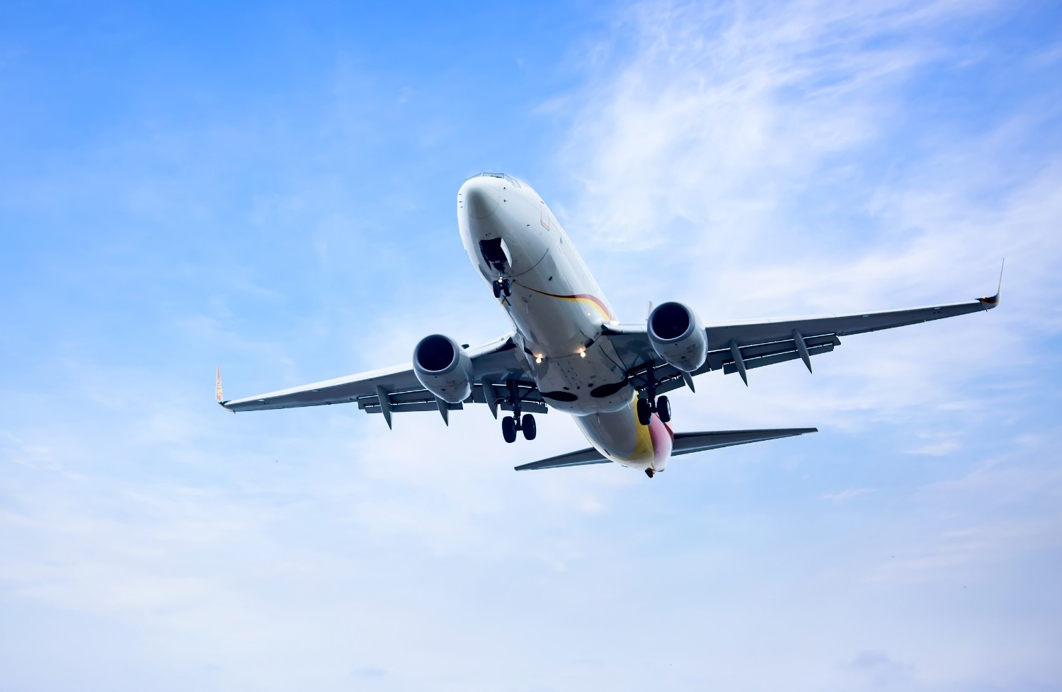 Domestic Flights